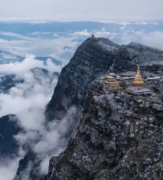 伤害1只也不行！2024年女游客徒步比赛被抓咬，十余只持续3分钟