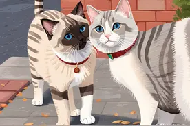 不怕告诉你，绝育的猫和不绝育的猫，差别居然这么大图片