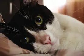 美女房东与我同居半年，意外怀孕后，她却主动说要嫁给我的图片