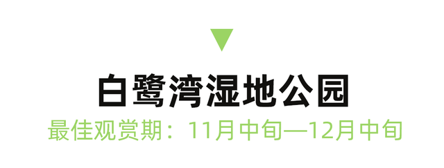 红了！成都周边18个顶级赏秋地更新！最快30min刹拢，最佳观赏期已到！速冲！