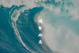 顺为资本投资布局版图图片