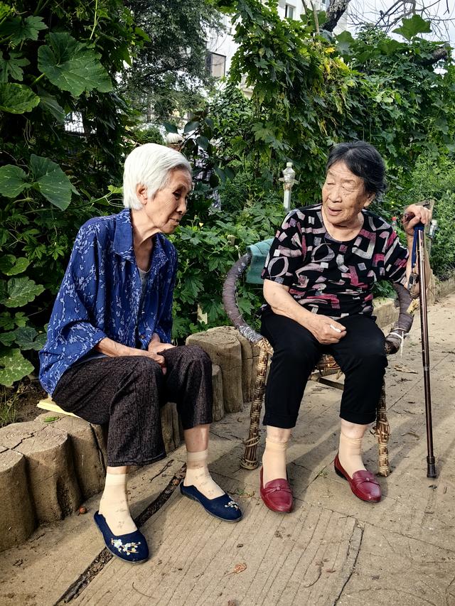 苏区新面貌
