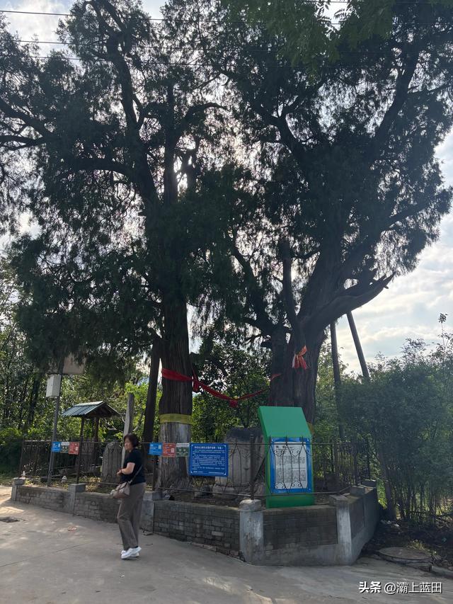 西安长安区南豆角村随拍