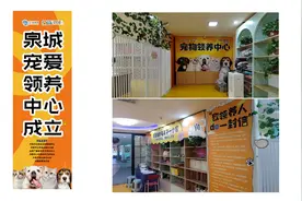 平安产险山东分公司为济南市首家宠物公益领养中心提供保险保障支持图片