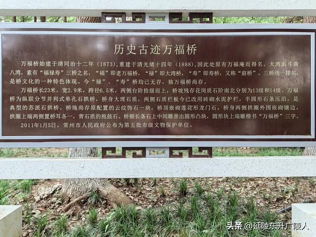 木槿花开时 再探常州万福桥