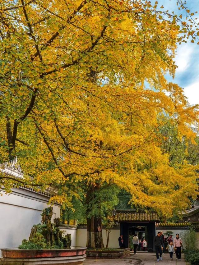 还起什么标题，美不美你们直接看！