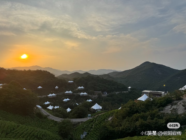 辞家千里，最念是信阳