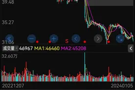 金龙鱼跌成了“鱼干”，价值投资者嚎嚎大哭！图片