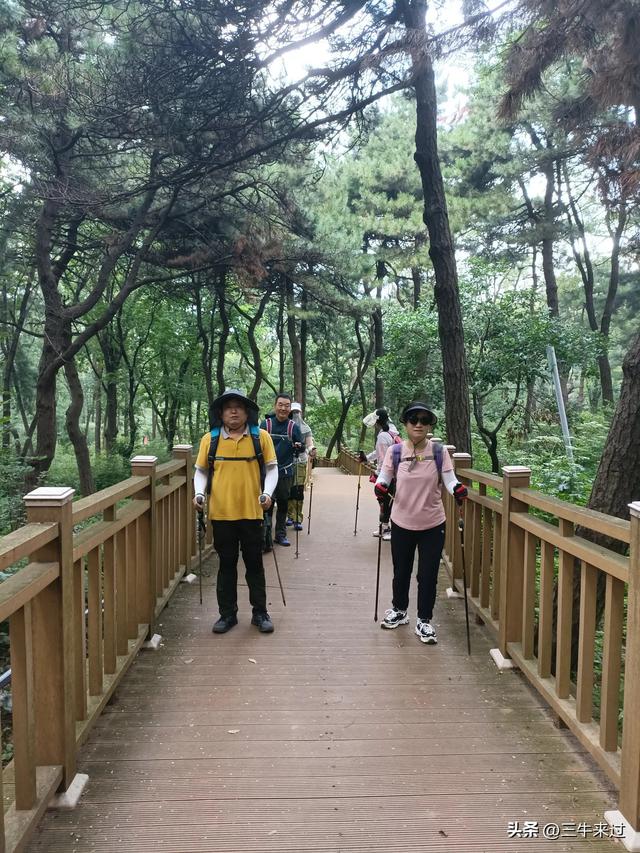 无为在歧路，避暑去鲁山