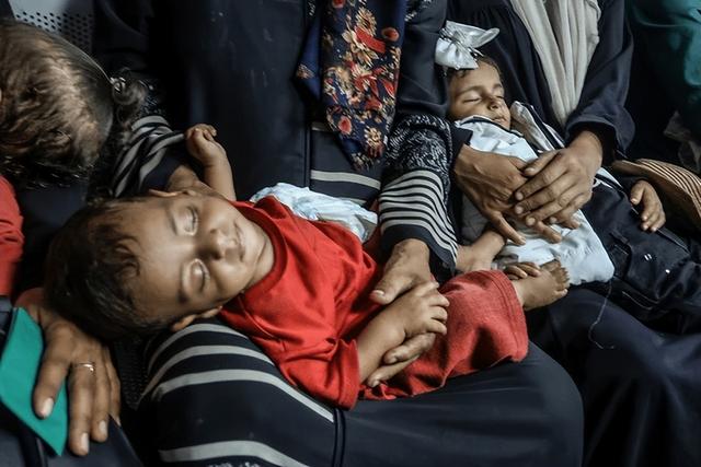 在纳赛尔医院的血泊与饥饿面前，这份报告显得荒诞无比