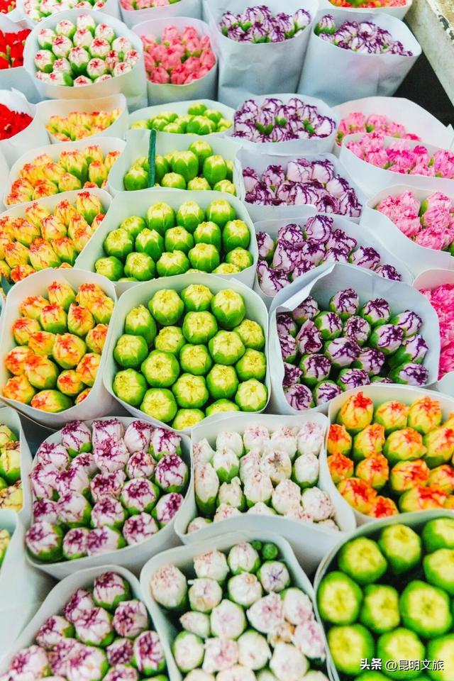 满屏治愈！这个冬日，你一定要去趟斗南花市，邂逅一场流动的彩色盛宴~