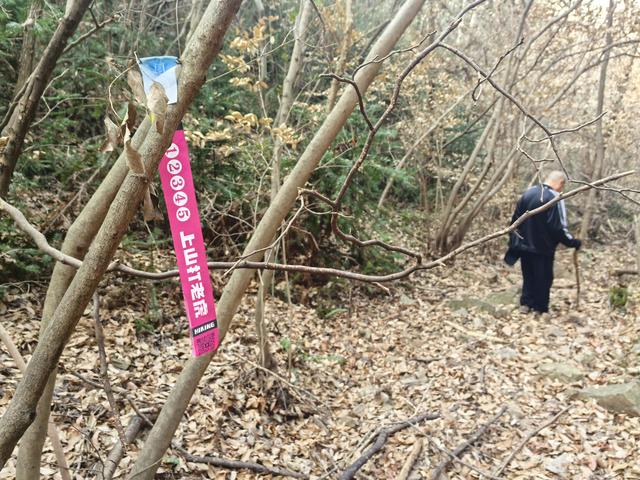 南京江宁大连山金陵四十八景之虎洞明曦，佘村丹霞山一日郊野徒步