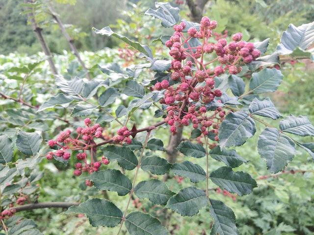 颠覆想象！甘肃的“双面人生”：千年文脉酿芬芳（下）