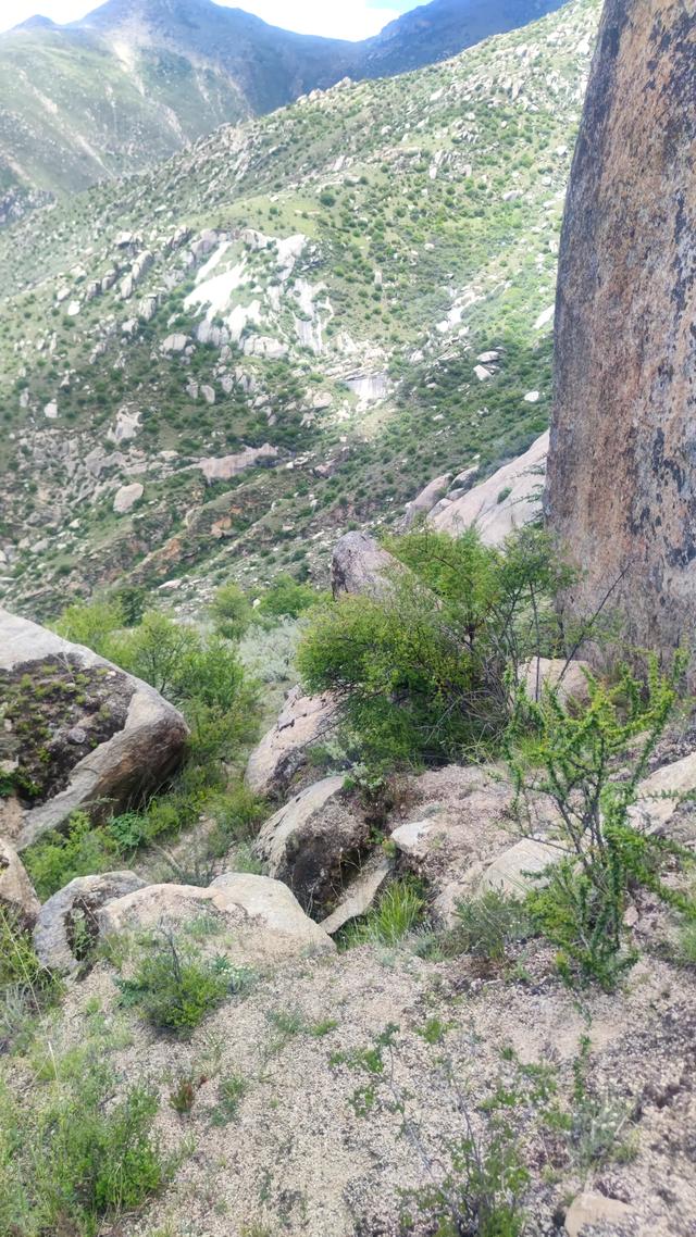 爬拉萨哲蚌寺后山，从海拔3600米到山顶5300米，上下20公里