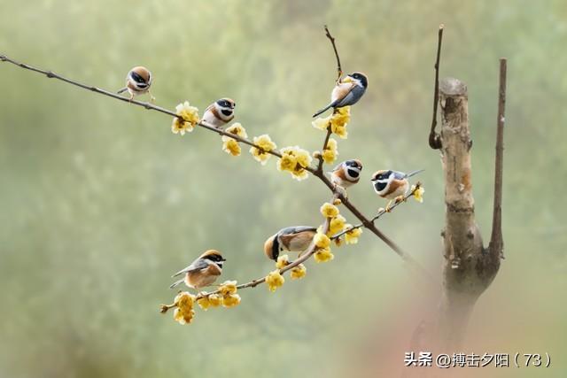 两性关系，惊人发现，60岁与异性靠近，根本不是桃花运，而是这