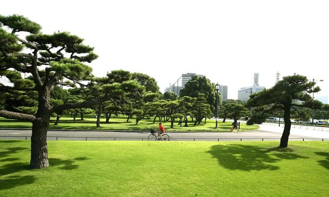 河南下一个郑州或将诞生？不是洛阳、开封，堪称最具黑马相的城市