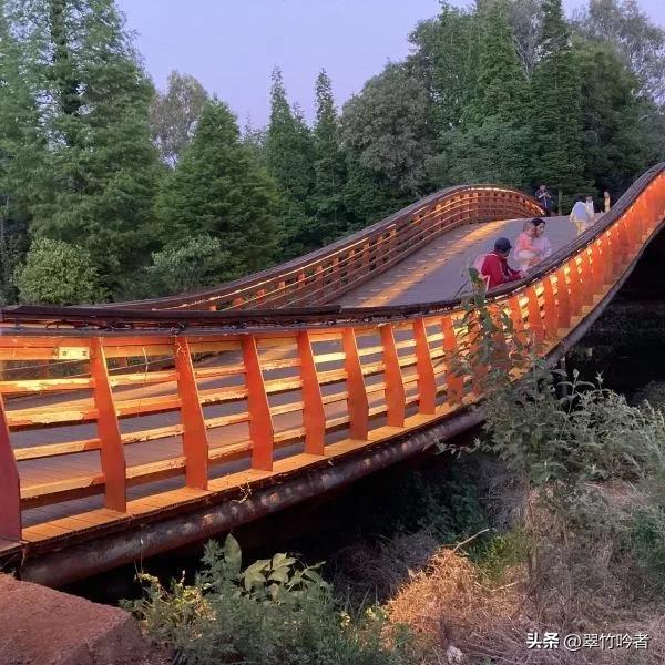 后悔来晚了,地铁直达的免费宝地,遛娃拍照绝佳,周末立刻出发。