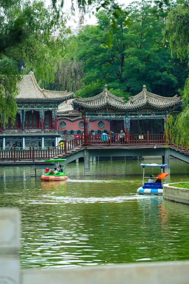 在临夏,把夏天过成诗——公园、夜景与音乐会的清凉邀约