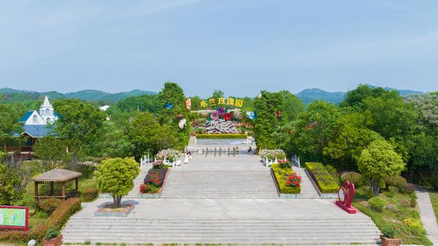 花不醉人人自醉，闯入千亩玫瑰海，醉倒在五月的香气里