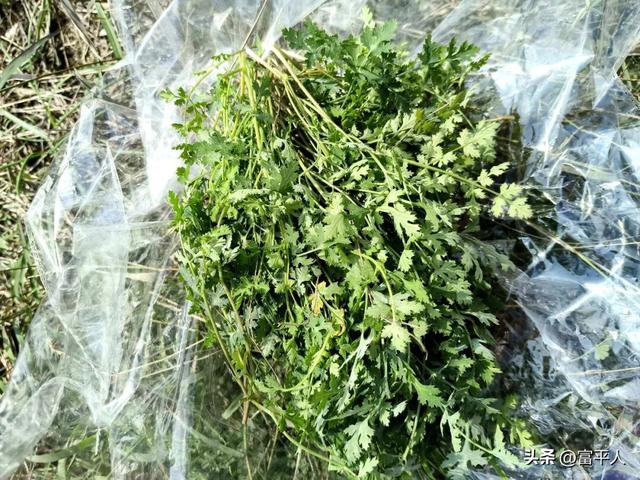 攀登富平虎头山
