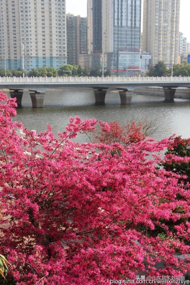 江西省博物馆·抚河两岸风光（江西之旅第廿五篇）
