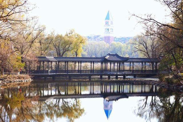 秋之彩色吉林｜层林尽染，鹿影翩跹！这里的秋天美成一首诗