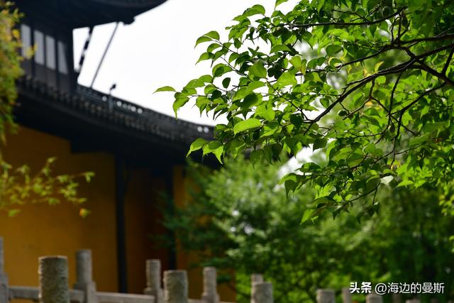 常州｜严重低估的小众一日游，照着走就对了