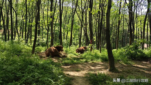 西安小众爬山线路，长安秦岭虎峪周末休闲游，公交自驾都可以