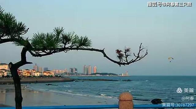 用我的镜头 亲吻青岛