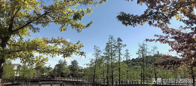 太意外了，原来从旺山风景区到上方山国家森林公园是如此的近