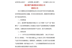 重庆燃气回应“换气表后气量暴增”：未发现已复核气表存在计量失准问题图片