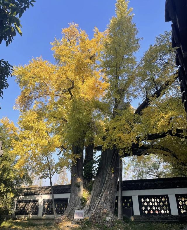 别再挤瘦西湖啦，扬州这7个小众景点可太好逛了
