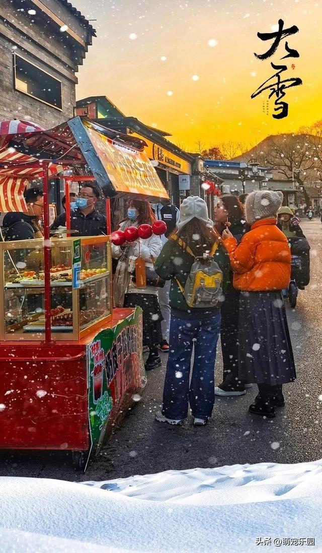大雪节气来临，农民笑开花，城里人却愁眉苦脸