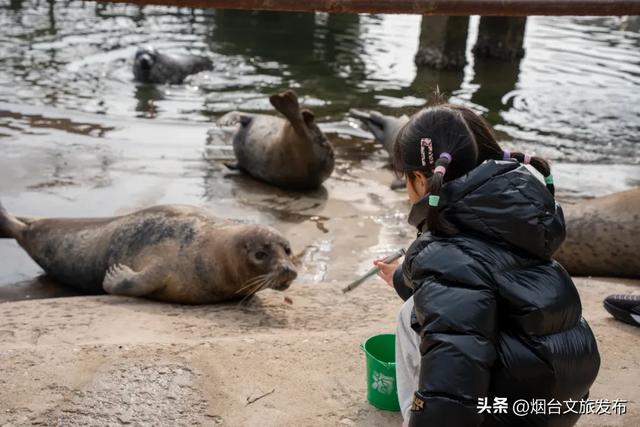 周末好去处丨人少免费!烟台小众公园美疯了