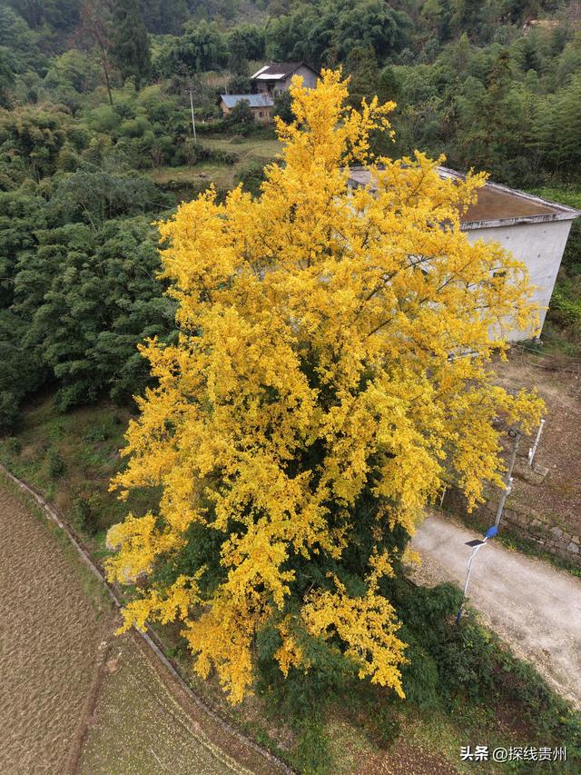 环城贵阳下坝古道凤凰山林场相思河盘龙山普渡大沟水东普渡越野线