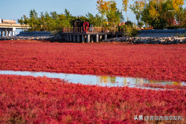 好！多！颜！色！啊！