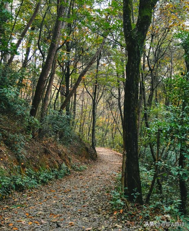 成都爬山徒步线路，全部免费，魅力不可挡，尽享山野宁静与清幽！