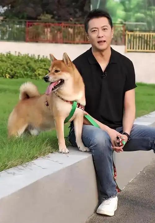 从确诊到去世仅15天,“央视最帅主持人”的遭遇给所有人提了个醒