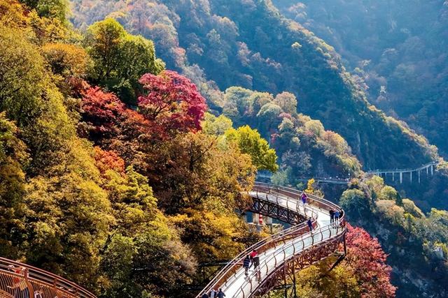 2025年11月第一周 渭南文化旅游资讯微报（组图）