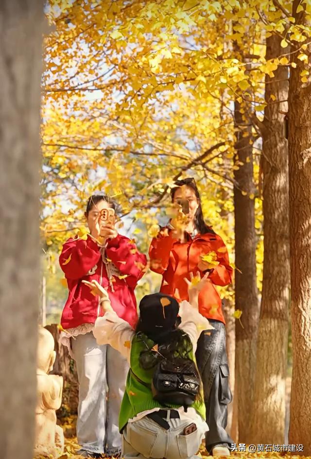 限时绝美!黄石街头颜值巅峰 周末来打卡