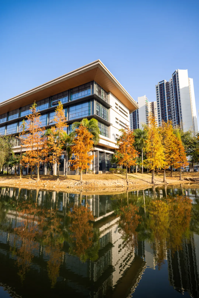 惠聚美好丨博罗的落羽杉，红了！