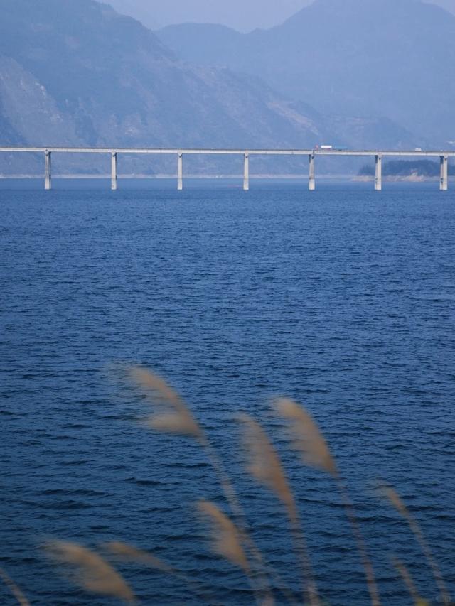 跟风最成功的一次！成都市区出发1h看“海”！