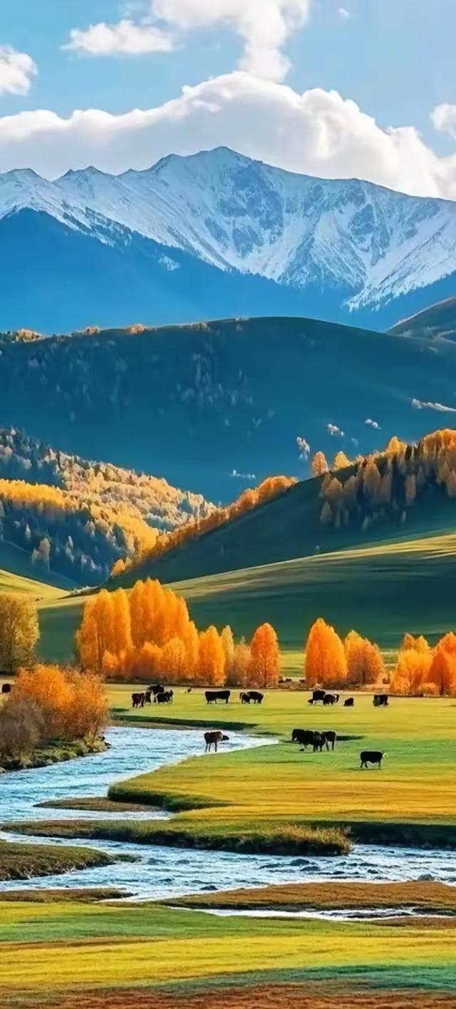 四季山行：草木绘就的时光诗卷