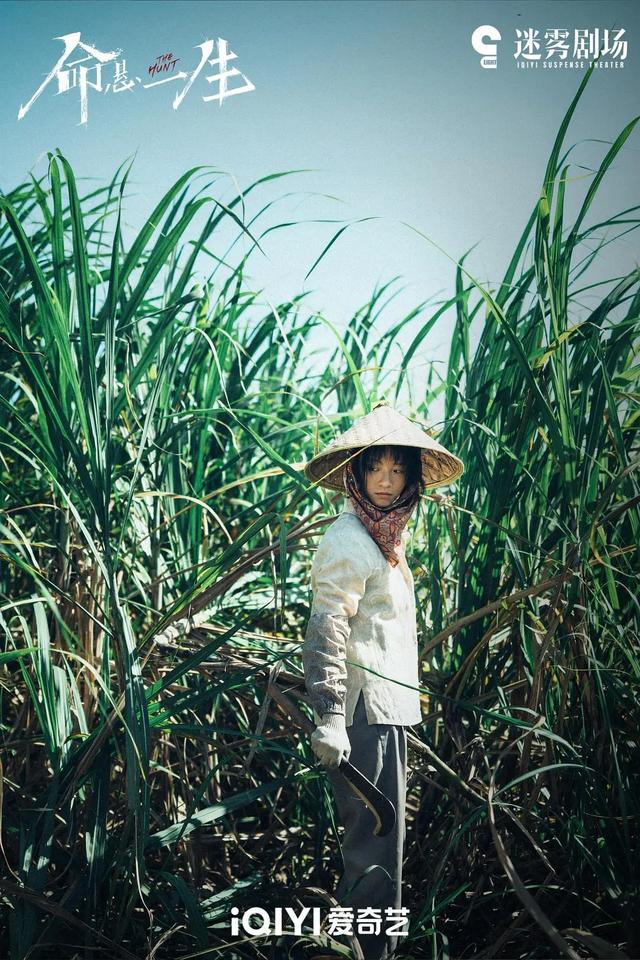 世界上还有很多吴细妹|《命悬一生》编剧陆春吾专访