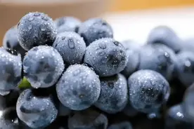 关于水果的谣言小秘密，99%人都错信了~图片