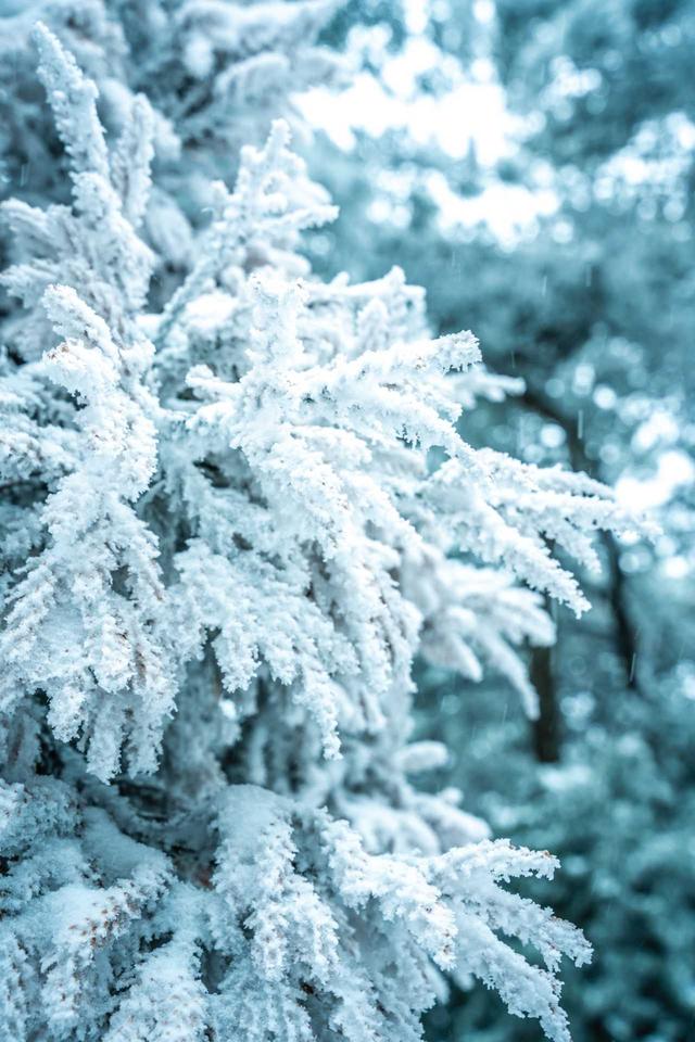 庐山初雪记：红裙油伞赴云端冰雪之约！