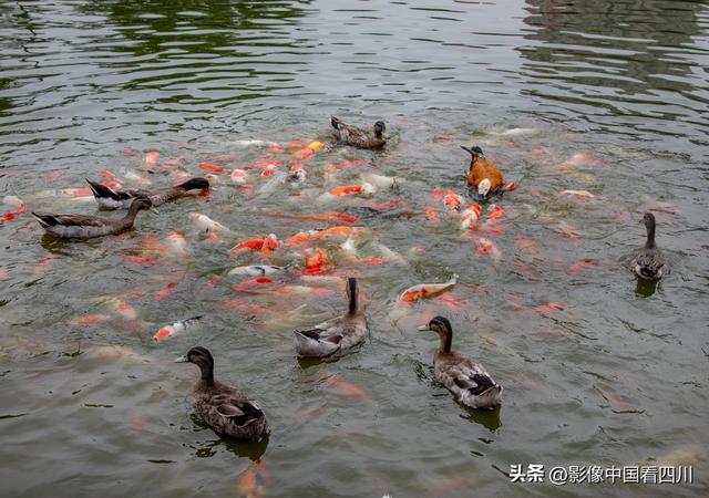 洛阳洛邑古城：喜迎国庆