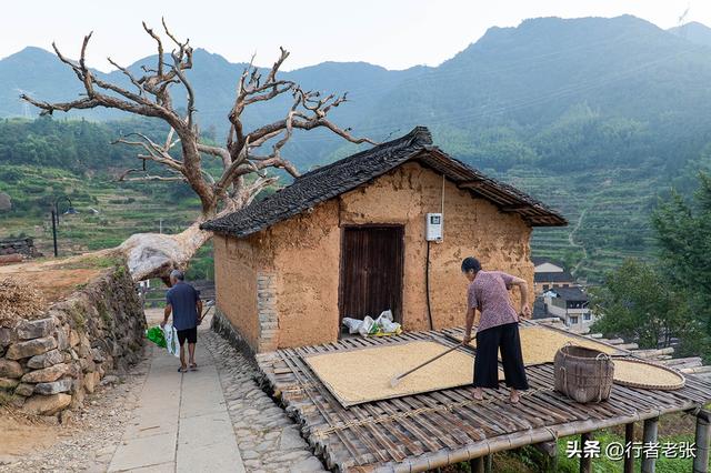 走遍浙江古村落，为了看一棵枯树，我骑行一千公里来了两趟松阳