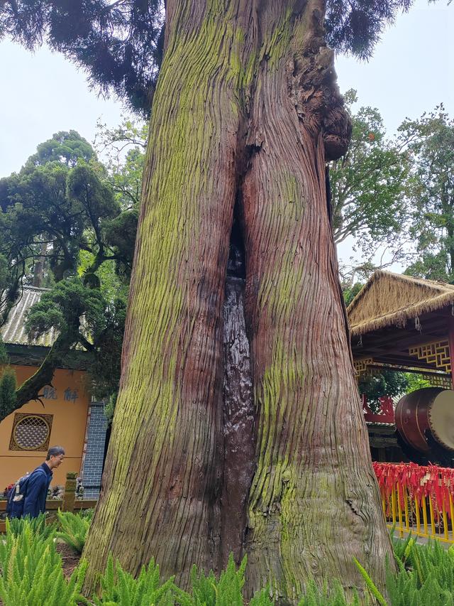 曲靖楚雄纪行之八：狮山古联，道尽帝王身世浮沉