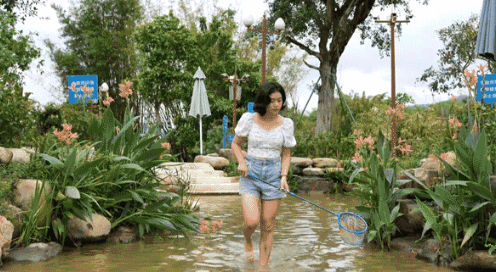 约会遛娃两不误！市区1h直达，森林海盛夏联动惊喜不停